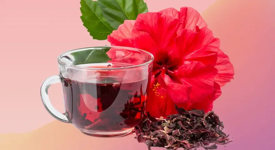 Infusion rouge vif d'hibiscus, fleur éclatante et feuilles vertes. Découvrez les hibiscus bienfaits femme pour une vitalité naturelle.