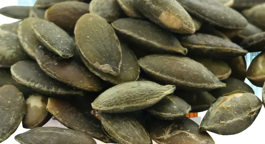 Grosse quantité de graines de courge, vertes et texturées, empilées en gros plan.