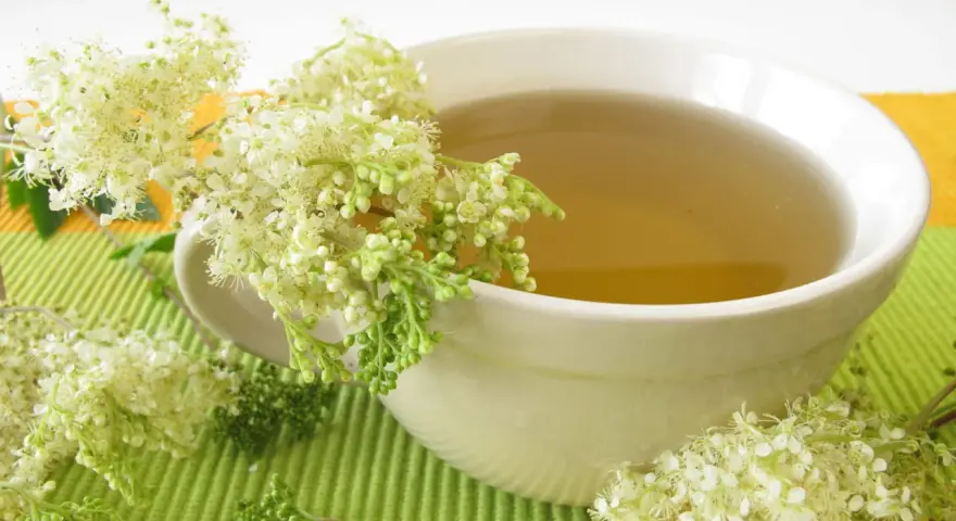 Une tasse de tisane à la reine des prés, ornée de ses délicates fleurs blanches.