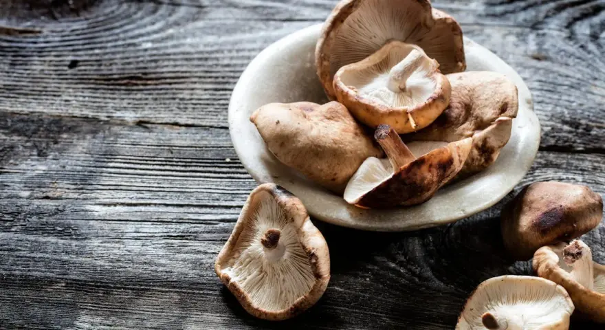 Champignons shiitake dans un bol en pierre, prêts à révéler leurs bienfaits.