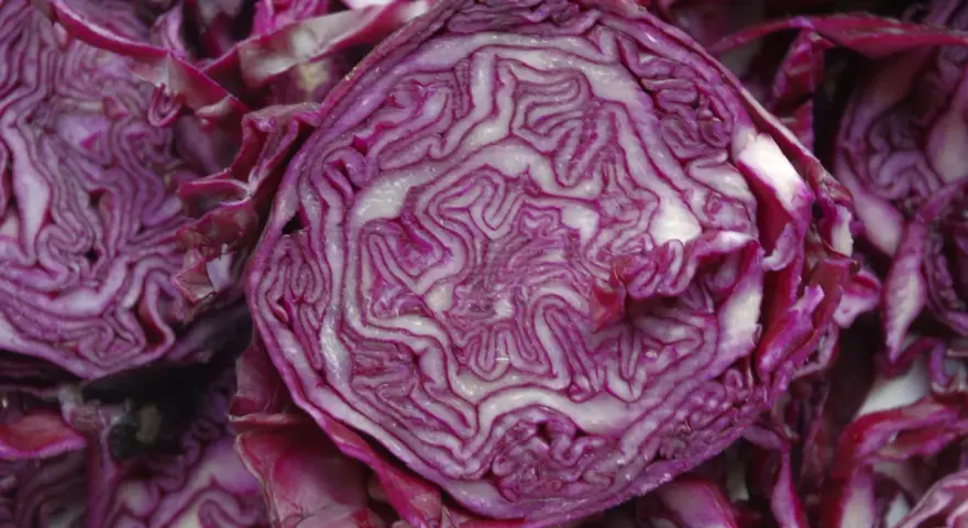 Coupe transversale d'un chou rouge, révélant ses couches violettes et blanches. Un légume aux multiples chou rouge bienfaits pour la santé.