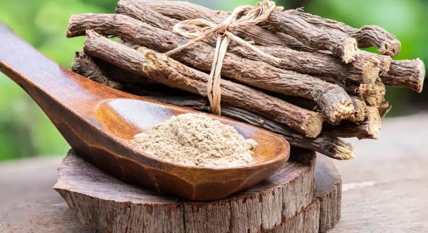 Racines de réglisse séchées et poudre de réglisse dans une cuillère en bois, évoquant les nombreux bienfaits de la réglisse.