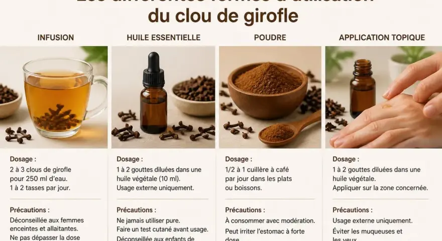Une tasse d'infusion clou de girofle, aux côtés d'autres formes d'utilisation : huile essentielle, poudre et application topique.