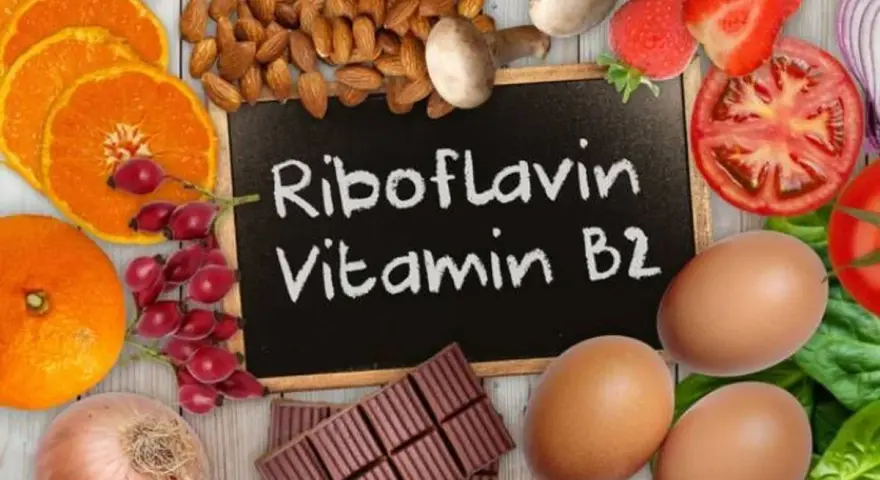 Assiette colorée avec des aliments riches en vitamine B2 : oranges, amandes, fraises, tomates, œufs, chocolat. Découvrez les vitamine b2 bienfaits !