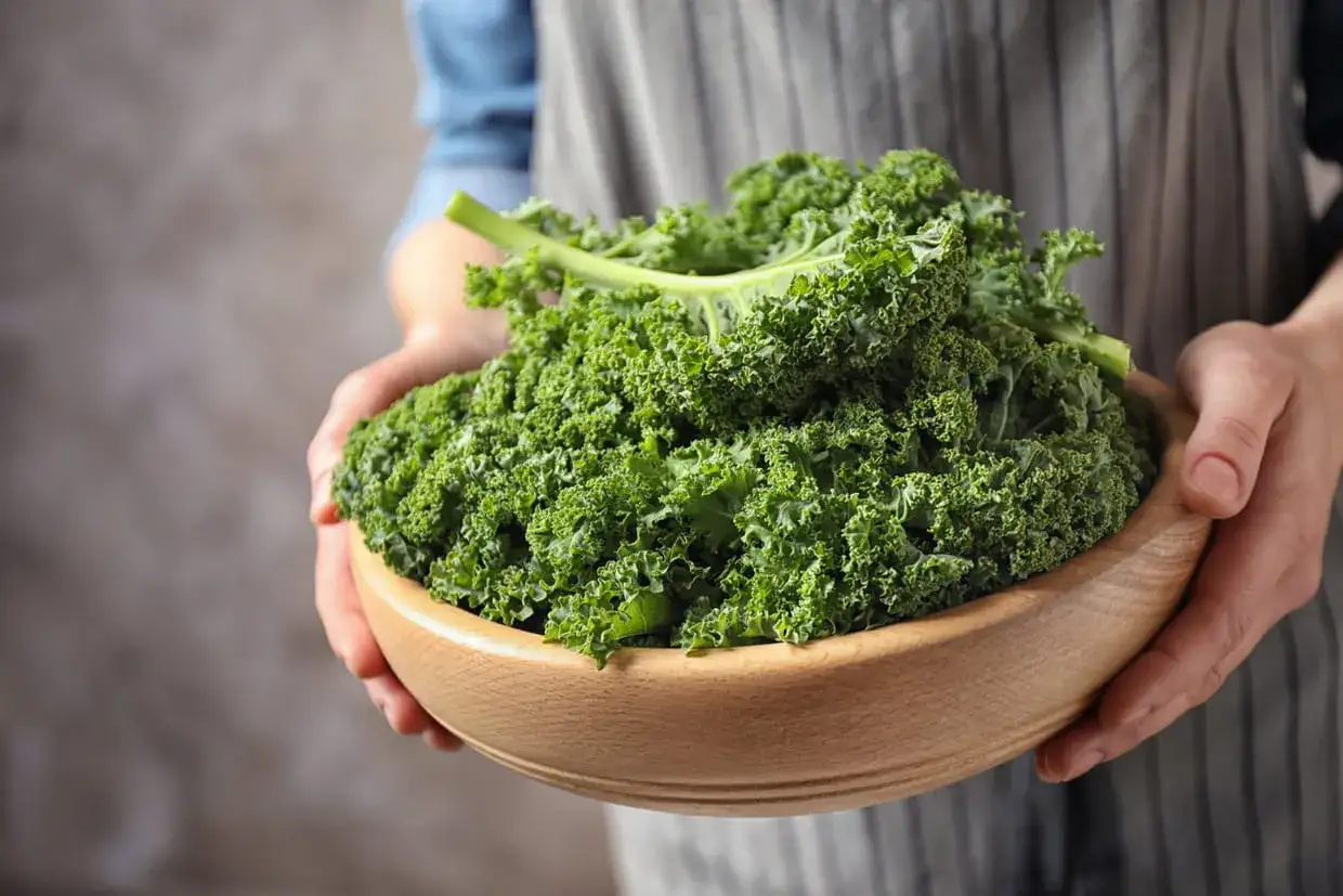 Un bol en bois rempli de chou kale frais, prêt à révéler ses nombreux chou kale bienfaits pour la santé.