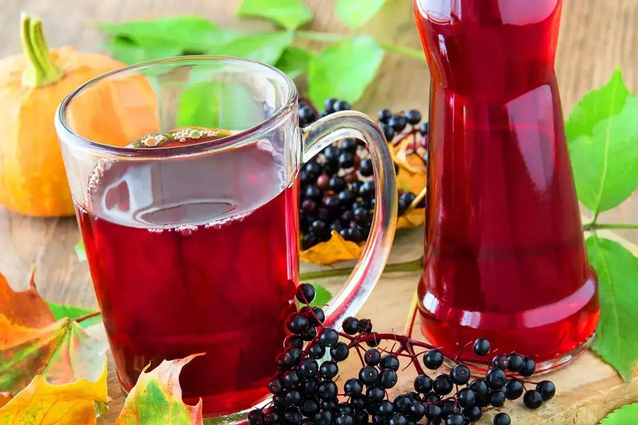 Verre de jus de sureau, un expectorant naturel, avec des baies fra&icirc;ches, une citrouille et des feuilles d'automne.