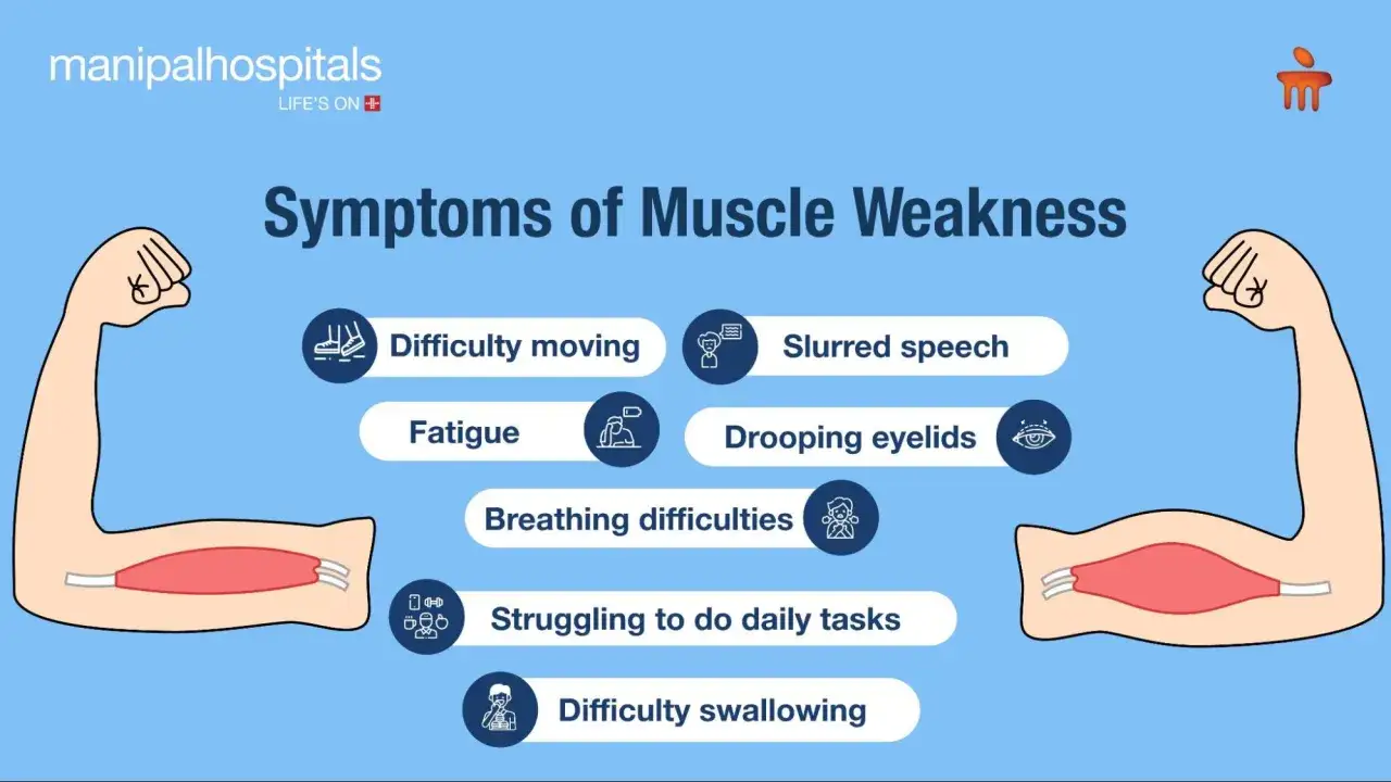 Symptômes de faiblesse musculaire : difficulté à bouger, parole pâteuse, fatigue, paupières tombantes, difficultés respiratoires, tâches quotidiennes ardues, difficulté à avaler.