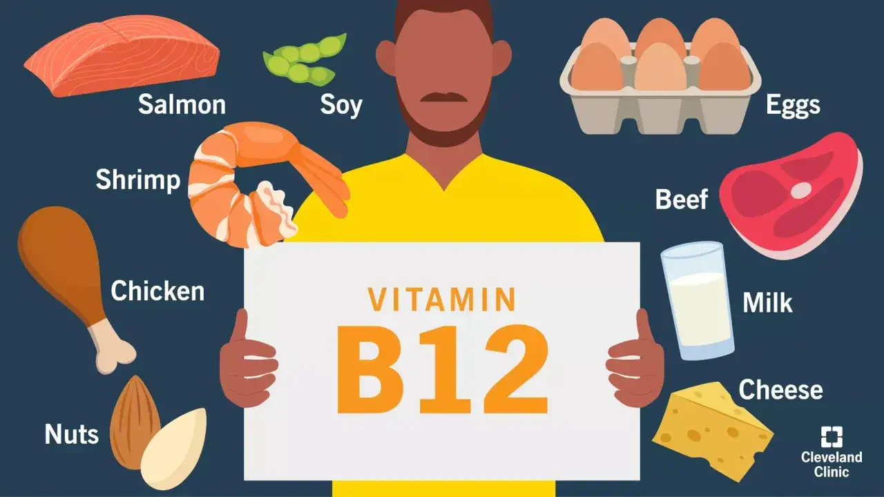 Découvrez les vitamine b12 bienfaits grâce à ces aliments : saumon, crevettes, poulet, bœuf, œufs, lait, fromage, soja et noix.