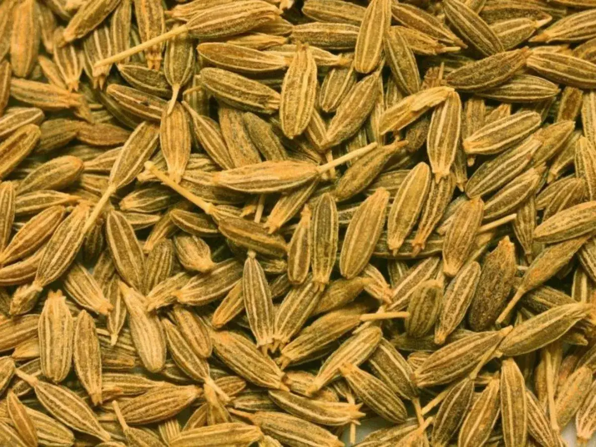Gros plan sur des graines de cumin, &eacute;voquant leurs nombreux bienfaits pour la sant&eacute; et leur saveur unique en cuisine.