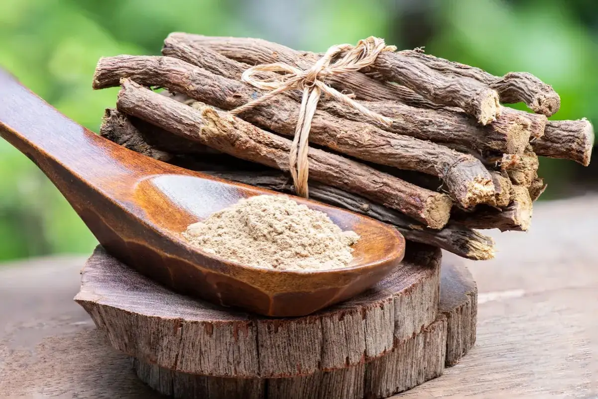 Racines de réglisse séchées et poudre dans une cuillère en bois, évoquant les nombreux bienfaits de la réglisse.