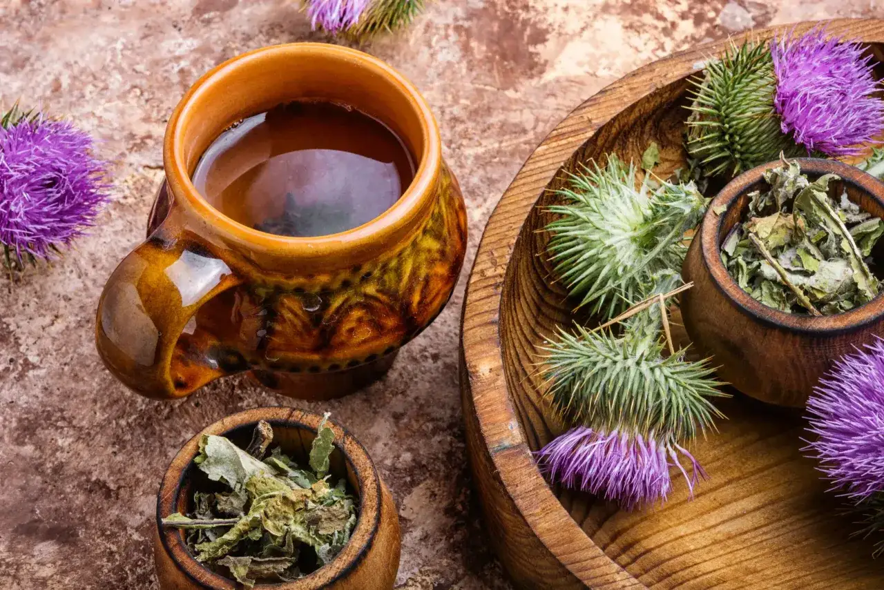 Une tasse de tisane chardon marie fumante, entour&eacute;e de fleurs et de feuilles s&eacute;ch&eacute;es de la plante.