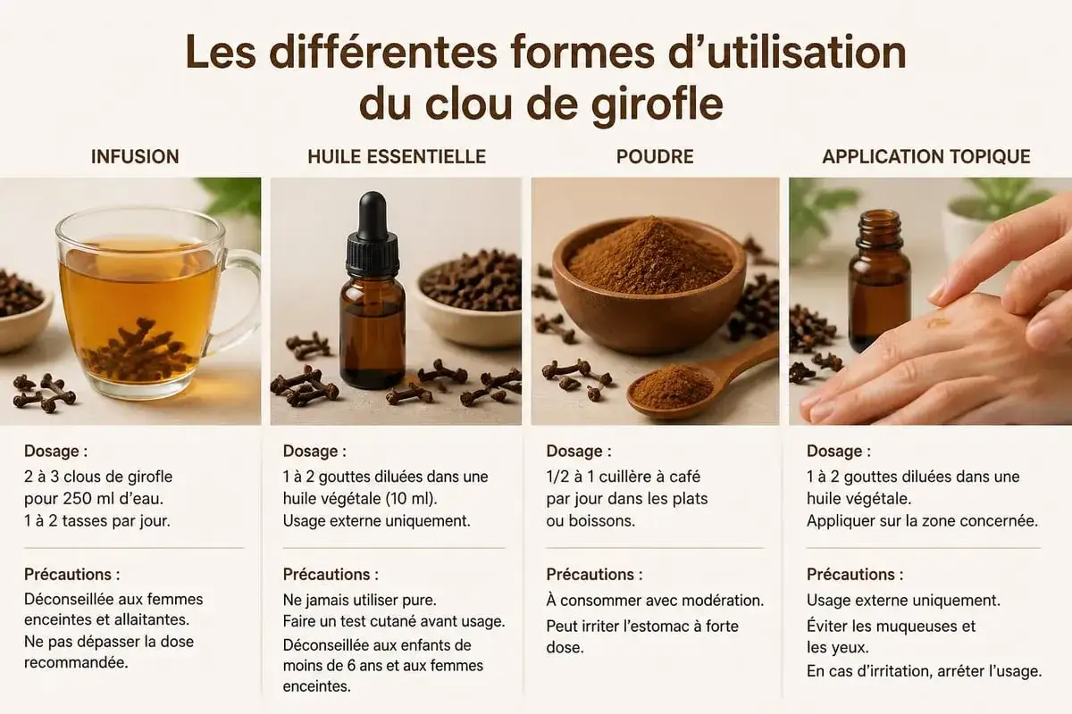 Une tasse d'infusion clou de girofle, aux c&ocirc;t&eacute;s de clous entiers et d'une fiole d'huile essentielle.