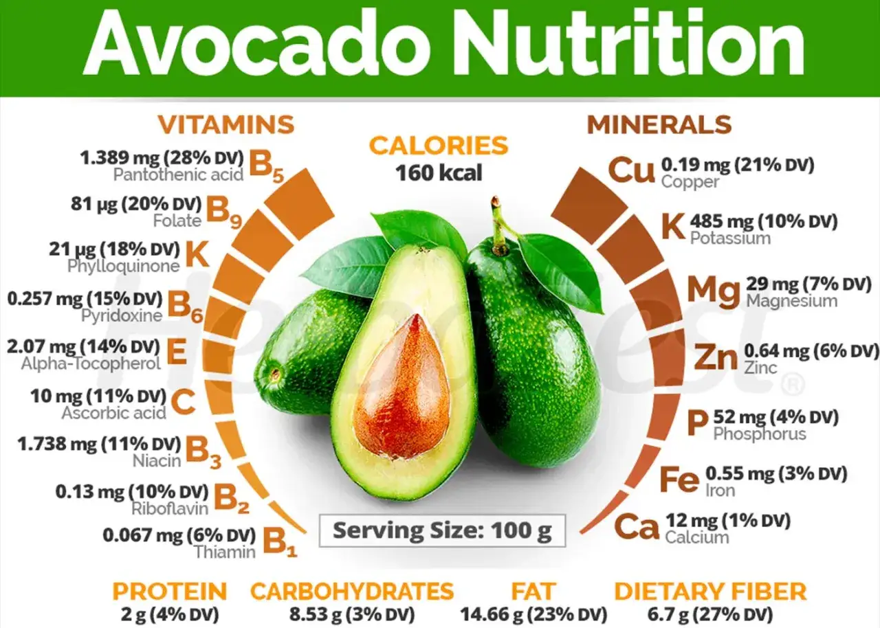 Infographie sur la nutrition de l'avocat, montrant ses vitamines, minéraux, calories et macronutriments. L'avocat bienfait est évident par sa richesse en nutriments.