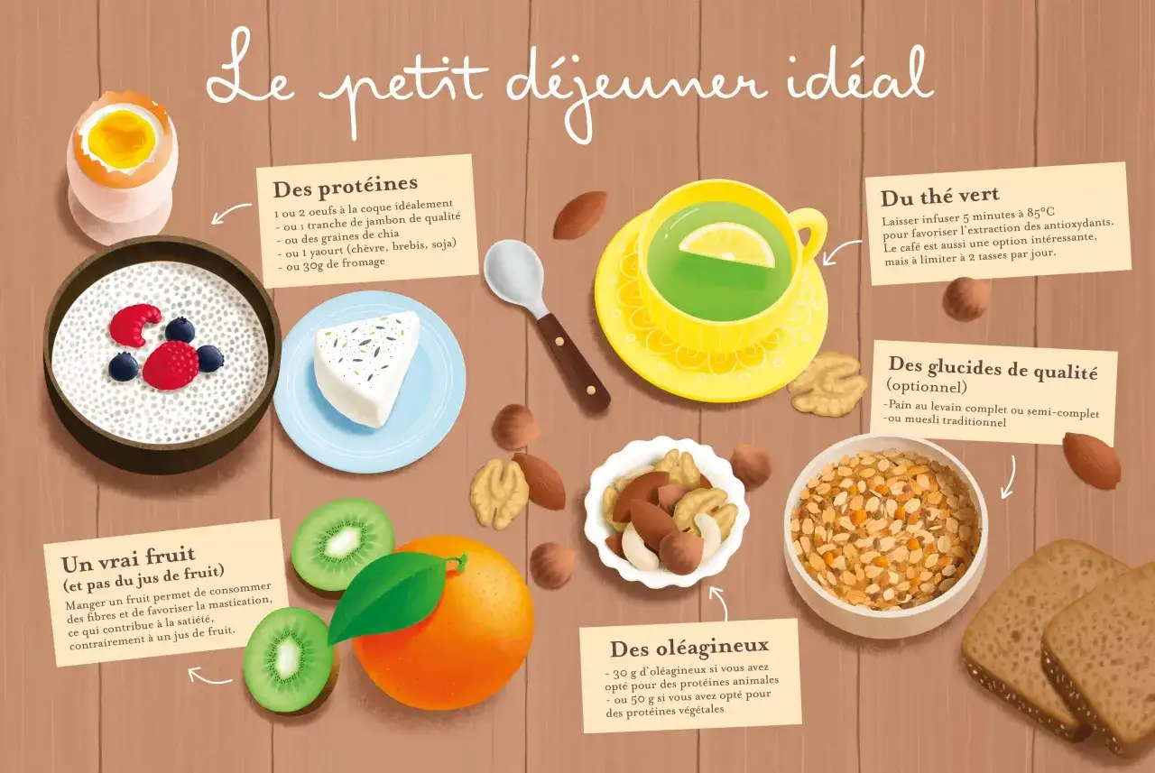 Le petit d&eacute;jeuner id&eacute;al : 1 ou 2 &oelig;ufs, fruits, th&eacute; vert, ol&eacute;agineux et glucides. Combien d'oeuf par jour ? Id&eacute;alement 1 &agrave; 2 &oelig;ufs.